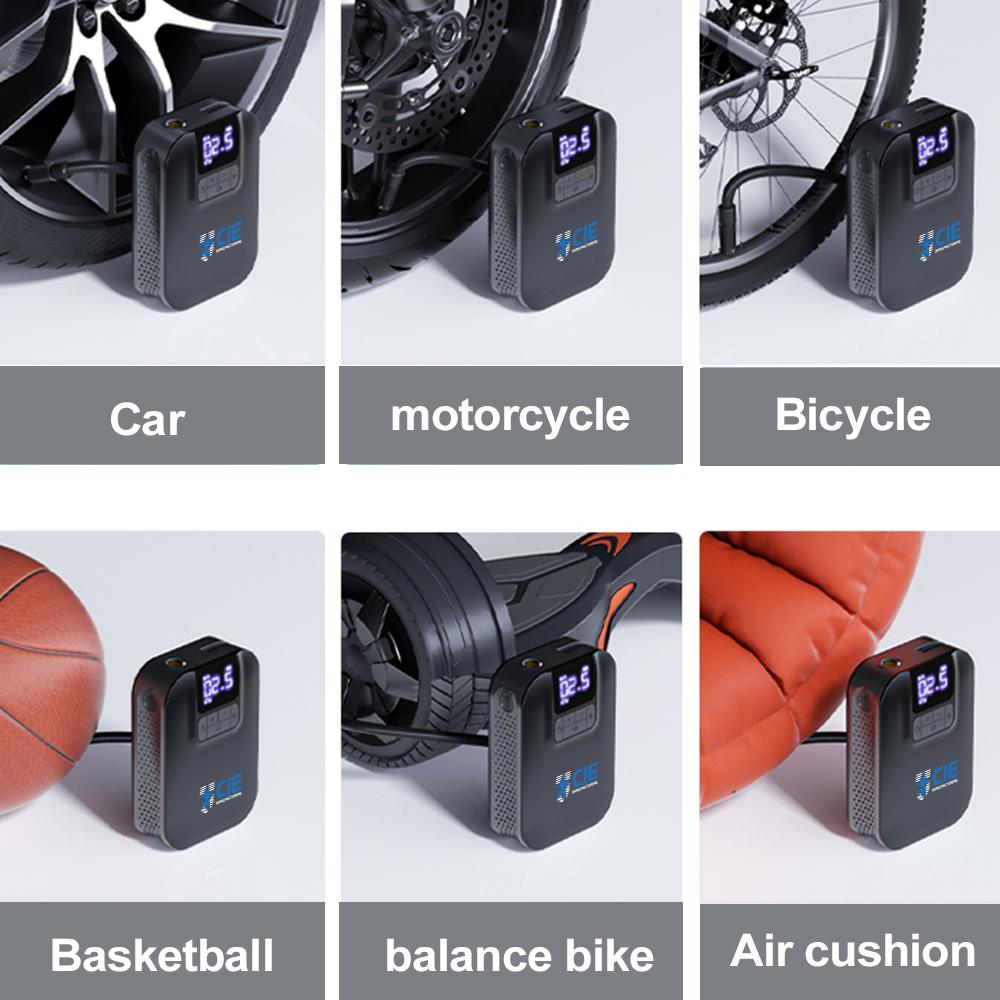Matthiessen Air Pump 6