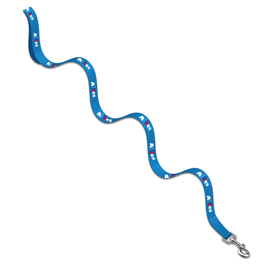 Baxter Leash with Collar Hook 26